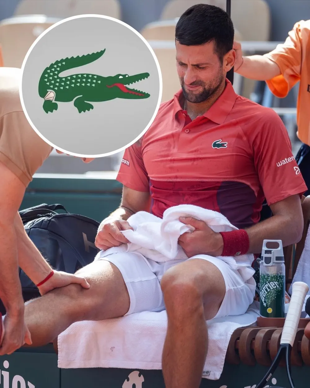 Logo độc lạ về nhãn hàng Lacoste được Djokovic chia sẻ. logo độc lạ