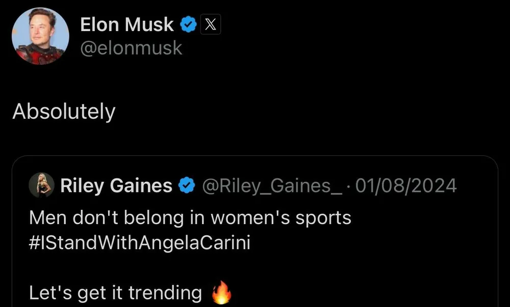 Bài đăng trên mạng xã hội X của tỉ phú Elon Mush. reo-ten-ti-phu-elon-musk-5.jpg