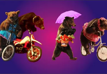 Xiếc trung ương thủ đô Hà Nội biểu diễn tại TP.HCM ảnh 1 Xiếc trung ương thủ đô Hà Nội biểu diễn tại TP.HCM ảnh 1