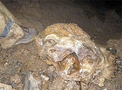 Phát hiện mỏ vàng huyền thoại thế giới trị giá 1,7 tỷ USD? ảnh 1