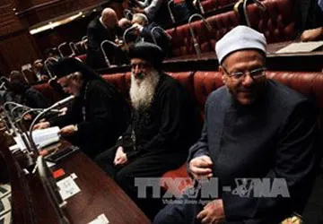 Ai Cập bắt đầu bỏ phiếu về dự thảo hiến pháp mới ảnh 1 Ai Cập bắt đầu bỏ phiếu về dự thảo hiến pháp mới ảnh 1