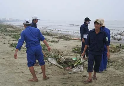 Hàng chục km bờ biển Đà Nẵng ngập chìm trong rác ảnh 2