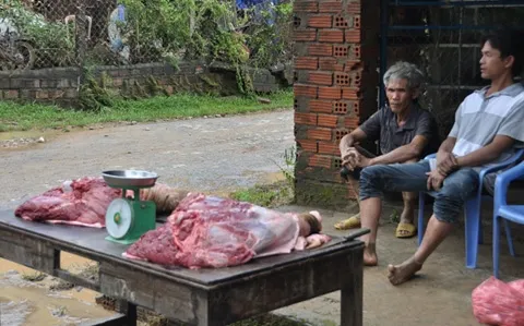 Người dân vùng lũ ăn bò chết thay cơm ảnh 6