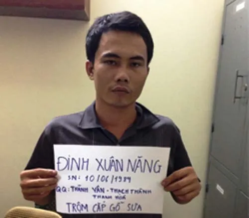 Nhóm trộm cây sưa bạc tỉ trong bão sa lưới ảnh 1