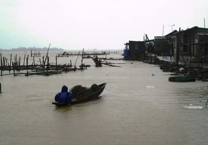 Thừa Thiên – Huế: Mưa lớn, gió bắt đầu mạnh dần ảnh 1