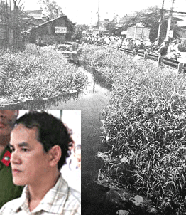 Lấy ác quỷ làm chồng ảnh 1