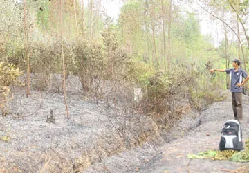 Nổ kho pháo hoa tại nhà máy quân đội ảnh 2 Nổ kho pháo hoa tại nhà máy quân đội ảnh 2