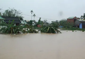 Đang có “bệnh dịch” mang tên thủy điện! ảnh 3 Đang có “bệnh dịch” mang tên thủy điện! ảnh 3