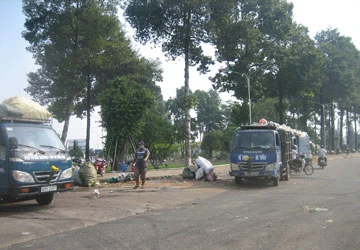 Công viên bị làm xấu ảnh 1