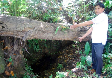 Hơn 30 năm đi tìm kho báu vua Hàm Nghi ảnh 1