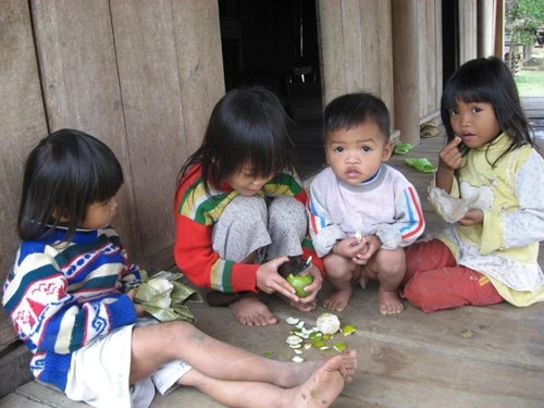 Văn bản mới nhận từ ngày 23 đến 29-12 (phần 1) ảnh 1