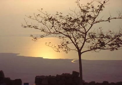 Con gái chưa chồng ảnh 1