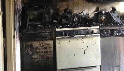 Chó làm cháy rụi cả căn nhà ảnh 1