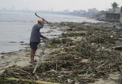 Hàng chục km bờ biển Đà Nẵng ngập chìm trong rác ảnh 1