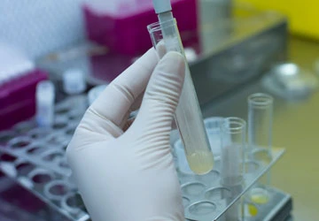 Sửa luật để đảm bảo quyền thừa kế cho trẻ ảnh 1