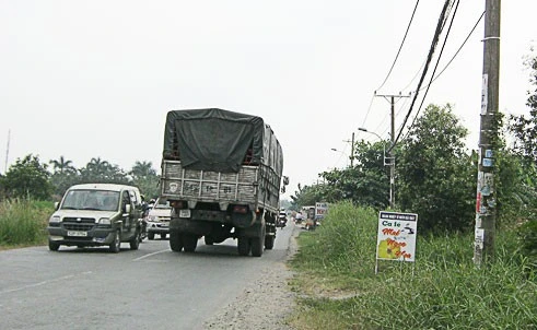 Loạn cà phê tươi mát trên Quốc lộ 50 ảnh 1