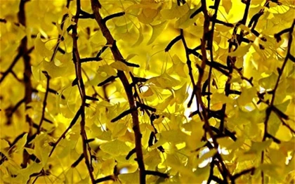 12 nỗi sợ hãi khác thường của con người ảnh 1