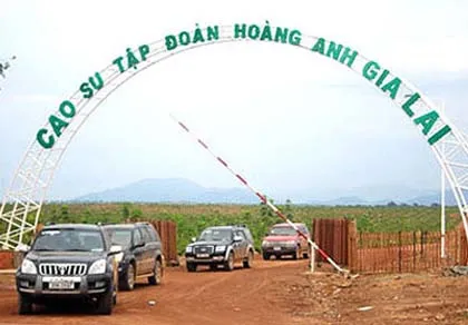 Deutsche Bank duy trì sở hữu tại Hoàng Anh Gia Lai ảnh 2