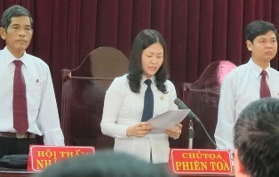 Tòa bác yêu cầu đòi bồi thường của gia đình ông Đoàn Văn Vươn ảnh 1