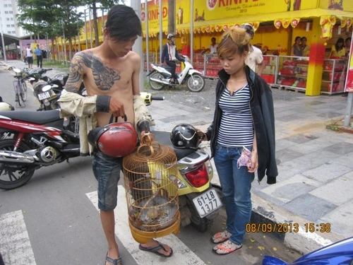 "Hiệp sĩ" bắt cặp đôi chuyên trộm chim chào mào ảnh 1