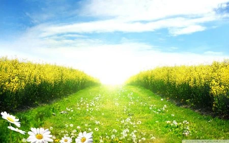 Đẹp ngỡ ngàng bộ sưu tập hình nền “những con đường” ảnh 23