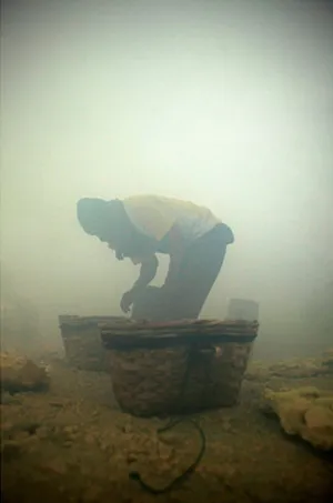 Kiếm "bạc cắc" bên miệng núi lửa ảnh 3 Kiếm "bạc cắc" bên miệng núi lửa ảnh 3