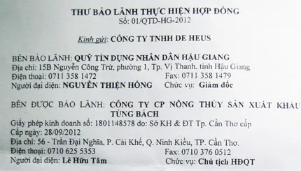 Phát hành thư bảo lãnh 25 tỉ đồng sai thẩm quyền ảnh 1