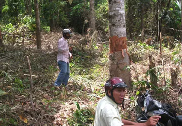 Phù phép đất công thành đất tư ảnh 1