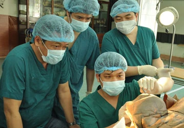 Đào tạo bác sĩ: Không giống ai! ảnh 1