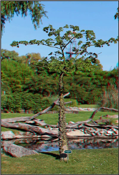 Tuyệt chiêu tạo ảnh 3D từ máy ảnh thông thường ảnh 1