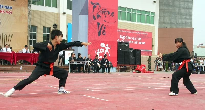 Lễ tổng kết biểu diễn võ thuật cổ truyền chào mừng 1.000 năm Thăng Long - Hà Nội ảnh 9