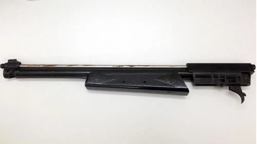 Mang súng tự chế bắn 'tình địch' ảnh 1