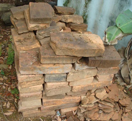 Cuộc tàn phá thảm khốc lăng mộ Trần Minh Tông ảnh 2