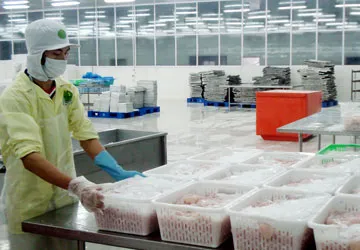 Doanh nghiệp cạn vốn, thiếu nguyên liệu ảnh 1