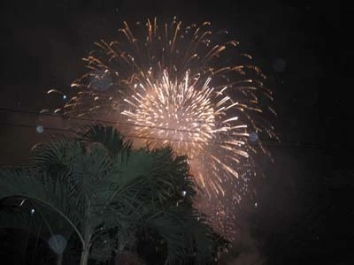 Chùm ảnh: Người dân TP. HCM xem pháo hoa trong mưa ảnh 17