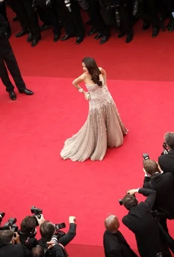 Minh tinh, tài tử tại thảm đỏ khai mạc LHP Cannes ảnh 4