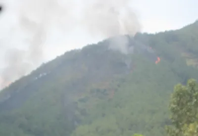 Rừng thông 25 năm tuổi bốc cháy ảnh 1 Rừng thông 25 năm tuổi bốc cháy ảnh 1