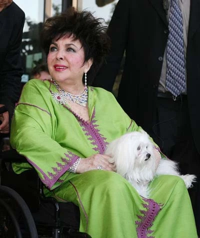 Cụ bà Elizabeth Taylor lấy chồng lần thứ 9 ảnh 2