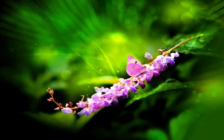 Đẹp nhẹ nhàng và lãng mạn với bộ hình nền “mưa” ảnh 17