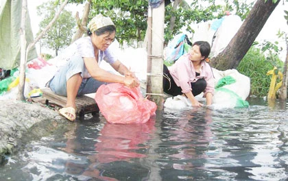 Chuyện đời ở xóm ve chai ảnh 1