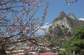 Xuân về trên cao nguyên đá ảnh 3