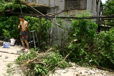 Xe ô tô chỉ dừng lại khi tông vào rào cây Xe ô tô chỉ dừng lại khi tông vào rào cây