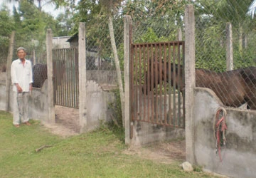 Ký ức Trường đua Phú Thọ - Bài 1: Nước mắt chủ ngựa ảnh 1