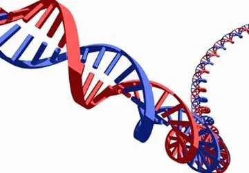 Top 10 đột phá y học thế giới năm 2012 ảnh 1