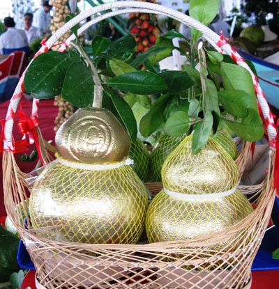 Bưởi hồ lô loại “VIP” một cặp giá lên tới 3 triệu đồng ảnh 2