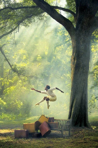 Ngắm bộ ảnh các vũ công đẹp như tranh vẽ ảnh 5