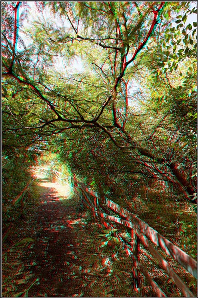 Tuyệt chiêu tạo ảnh 3D từ máy ảnh thông thường ảnh 2