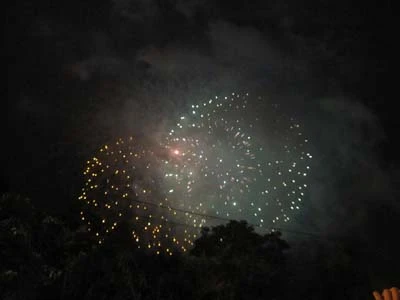 Chùm ảnh: Người dân TP. HCM xem pháo hoa trong mưa ảnh 18