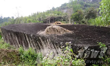 Xâm nhập ngọn núi có hang động chứa vàng ròng- Kỳ 2: Vào núi tìm hang vàng ảnh 2