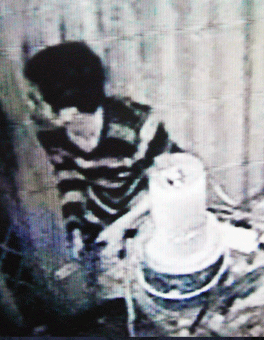 Bắt trộm nhờ camera ảnh 1 Bắt trộm nhờ camera ảnh 1